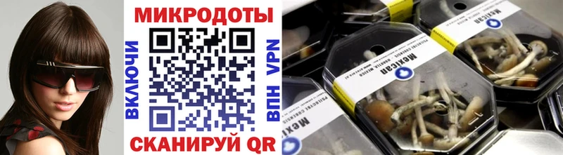 закладки  Туринск  MEGA сайт  Галлюциногенные грибы Cubensis 